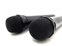 Zestaw bezprzewodowych mikrofonów karaoke ACCENT PRO MT395